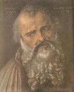 Albrecht Durer Head of the Apostle Philip France oil painting artist
